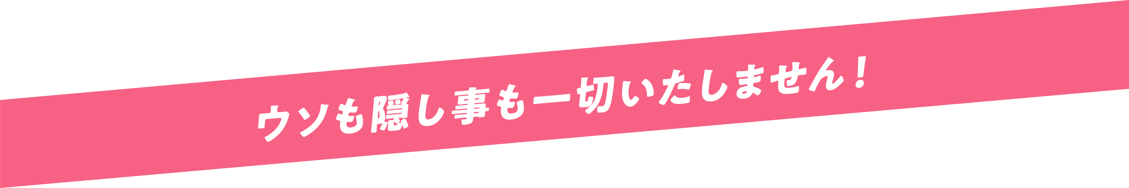 ウソも隠し事も一切いたしません！