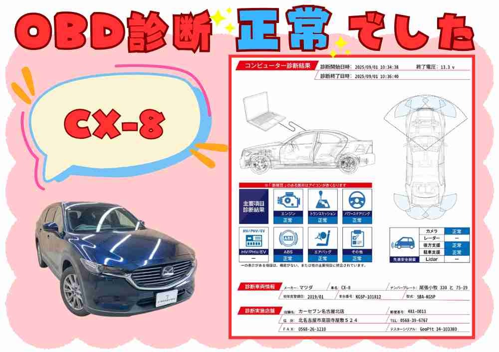 OBD故障診断結果1