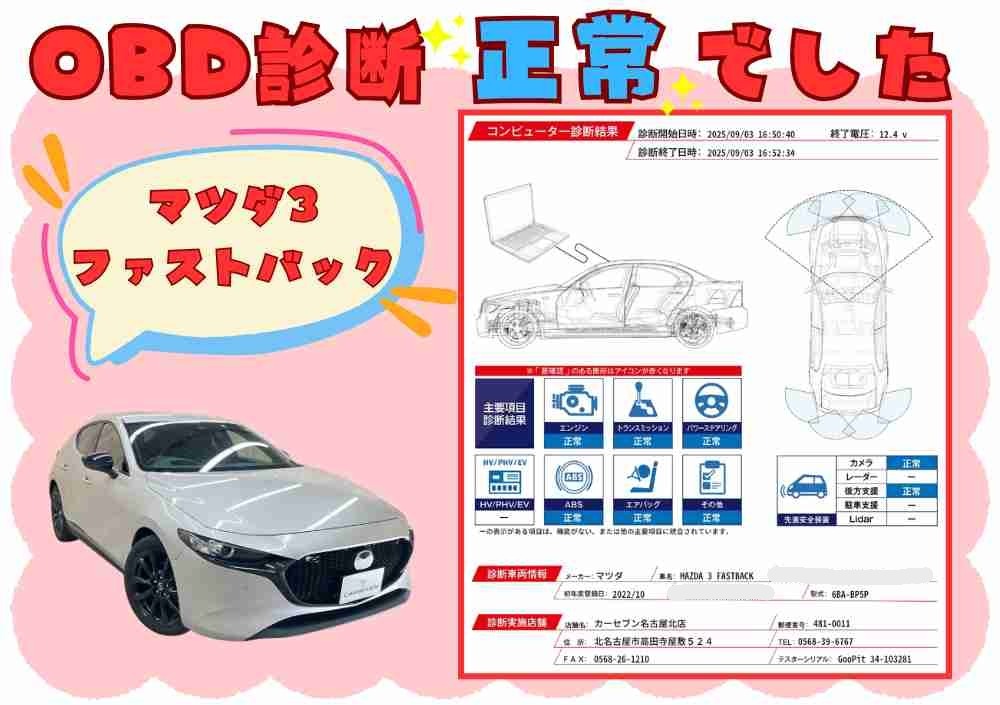 OBD診断結果（1/3）